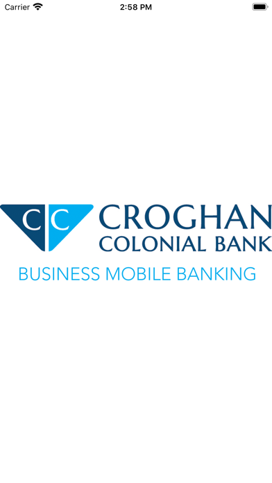 CCB Business Mobile Banking Screenshot