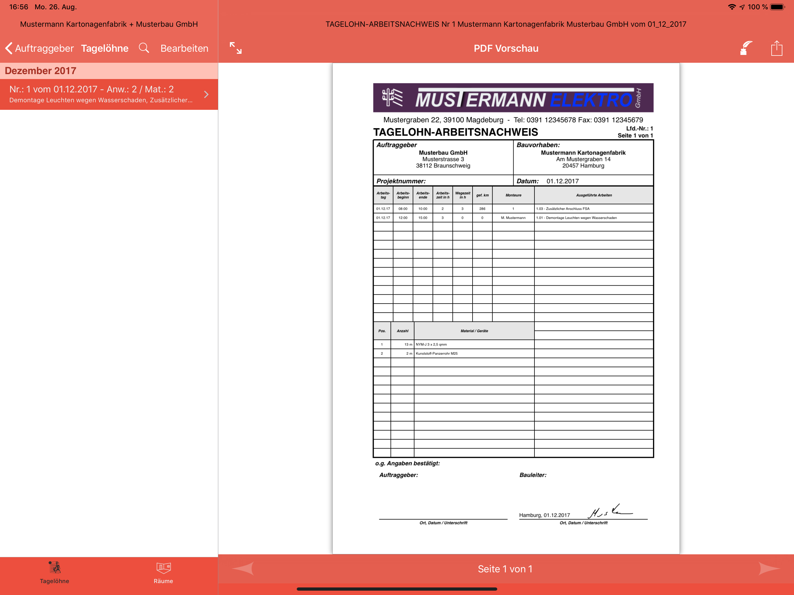 Service Report  (Tagelohn) screenshot 9
