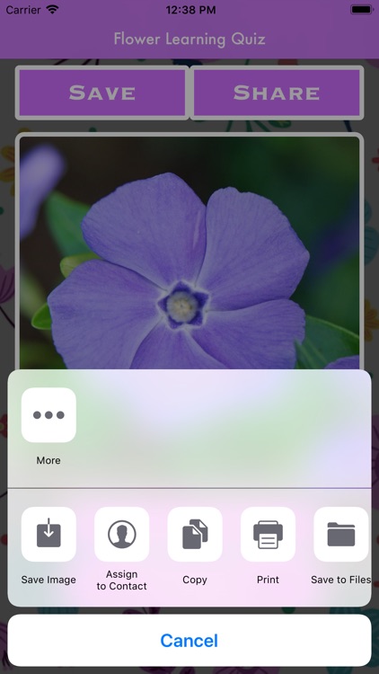 Flower Learning Quiz screenshot-4