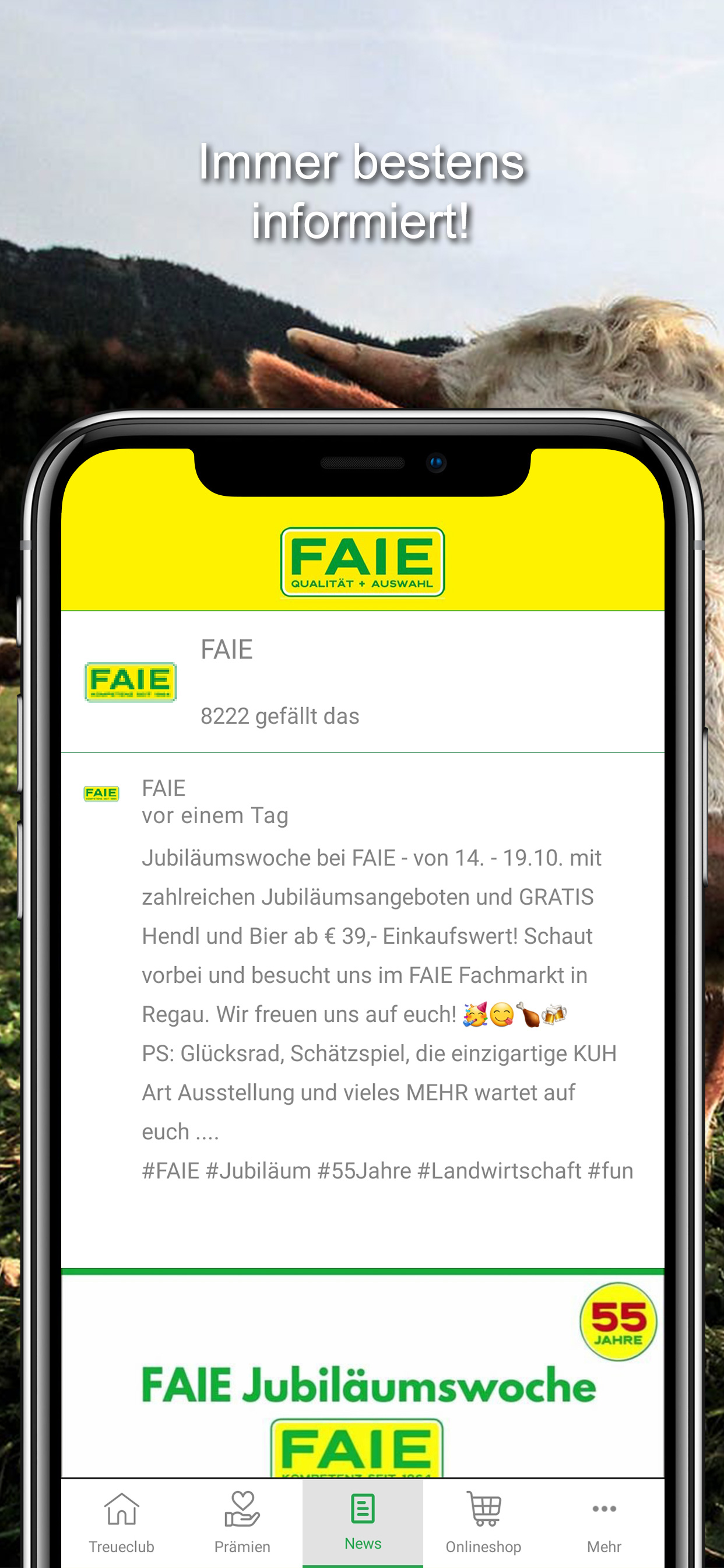 FAIE screenshot 3