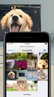 smartcast for chromecasttv iphone screenshot 3