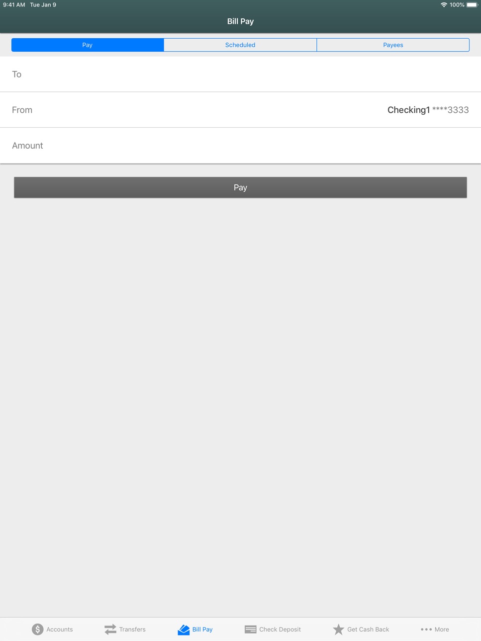 iPad screenshot