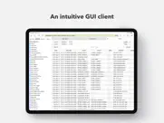 tableplus - database client ipad capturas de pantalla 2