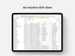 TablePlus - Database Client screenshot 10