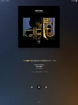 Plexamp screenshot 17
