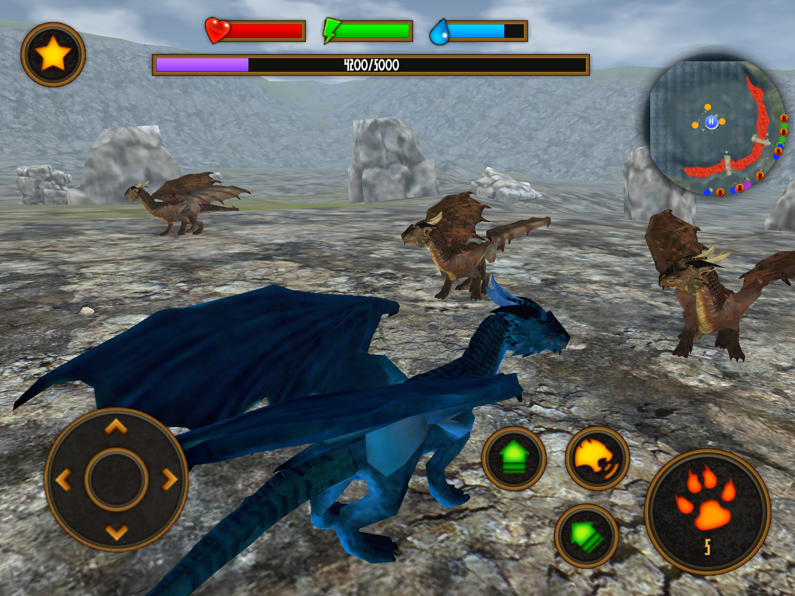 Clan Of Dragons