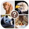 Animals quiz: guess the animal icon