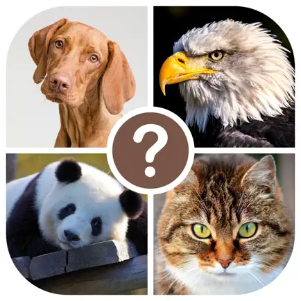 Animals quiz: guess the animal Cheats