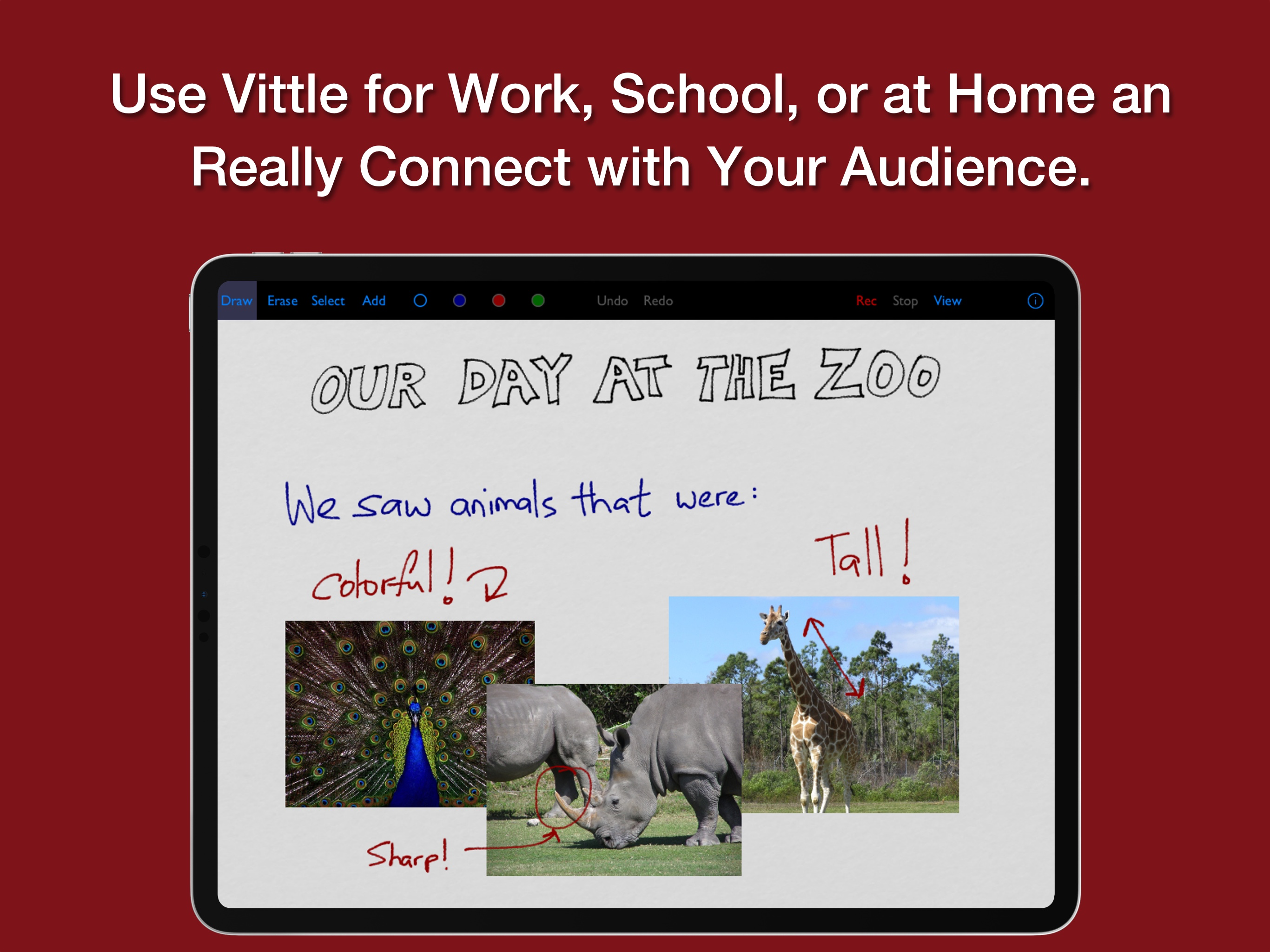 Vittle: Screencast Recorder screenshot 5