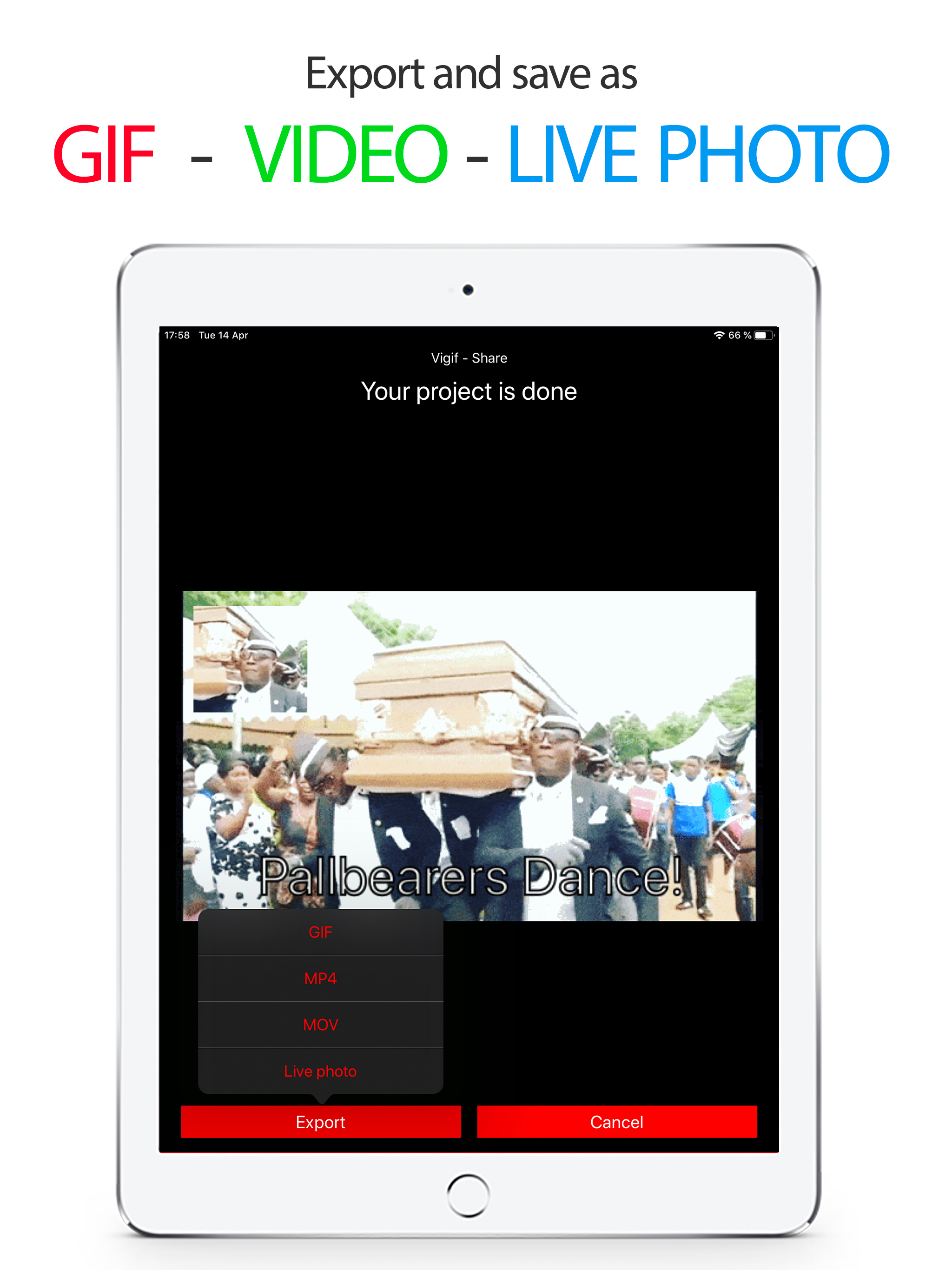 GIF Editor - Vigif screenshot 7