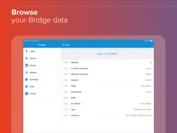 Bridge Inspector Hue screenshot 9