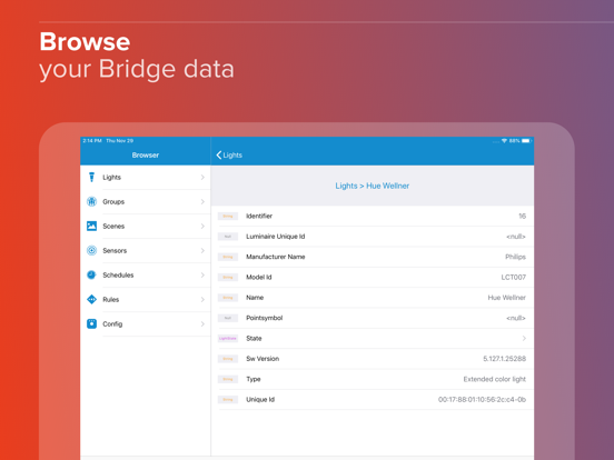 Screenshot #6 pour Bridge Inspector Hue