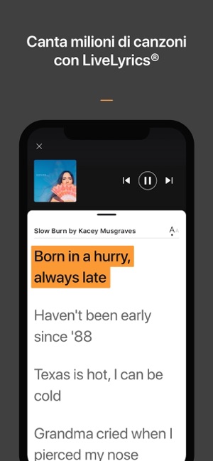 ‎SoundHound - Ricerca musicale Screenshot