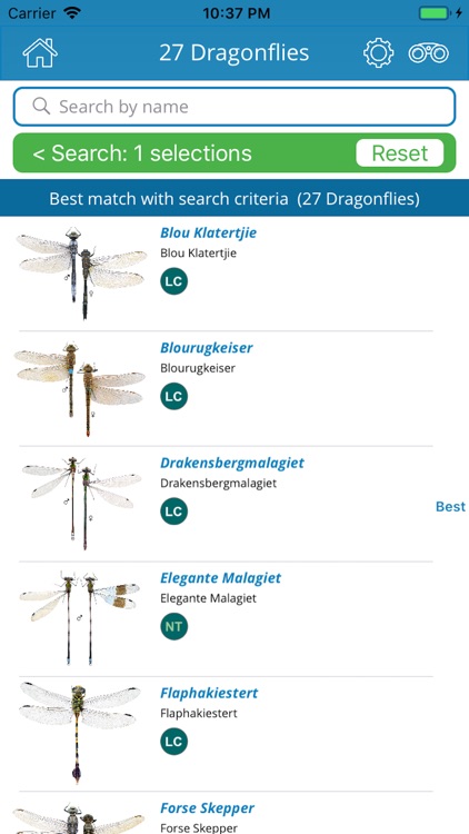 Dragonfly SA