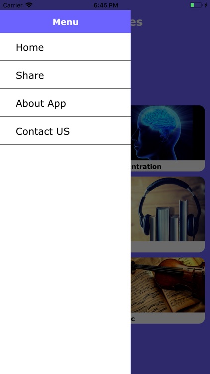 Relaxing Music App screenshot-3