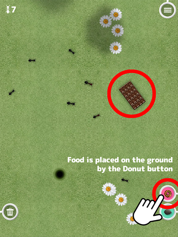 Great Ant Adventure iPad screenshot