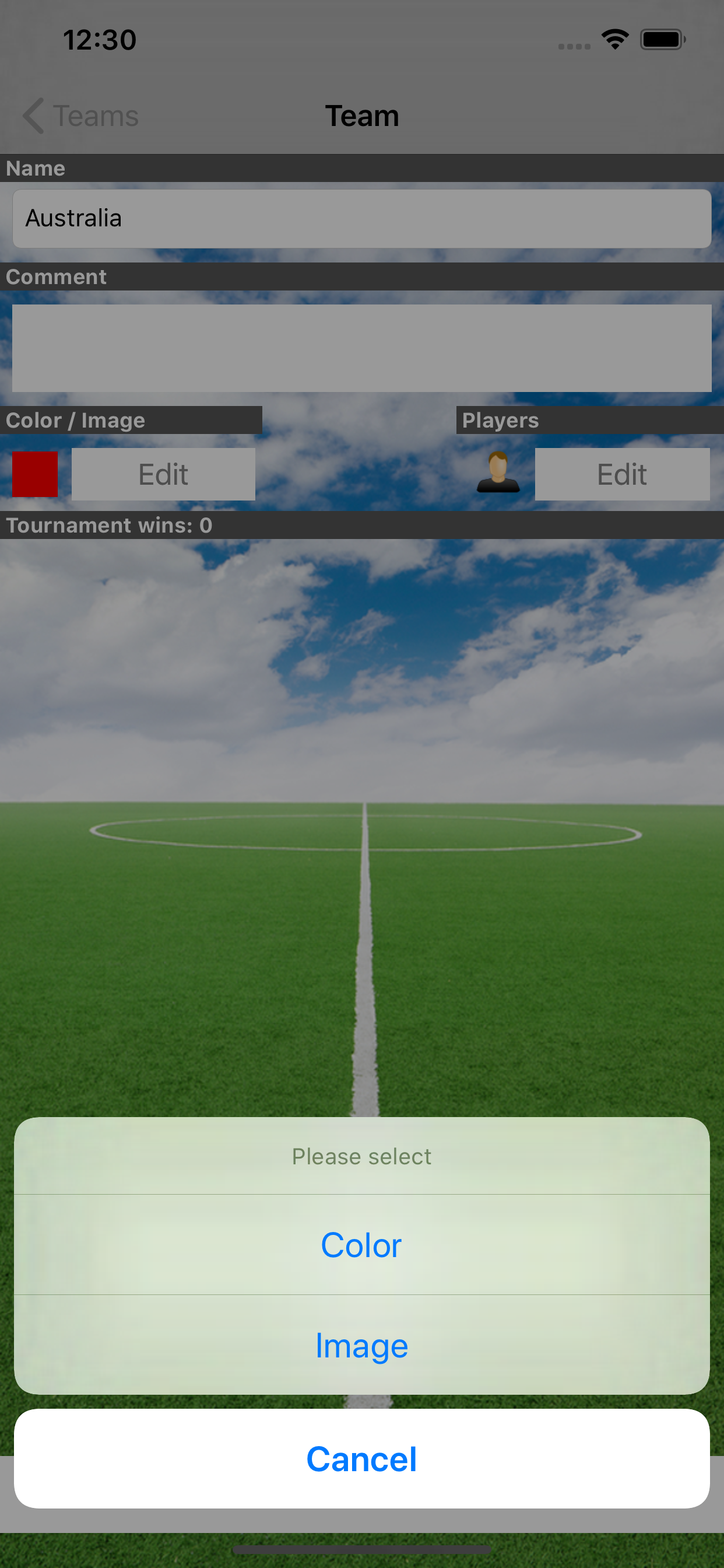 Tournament Soccer