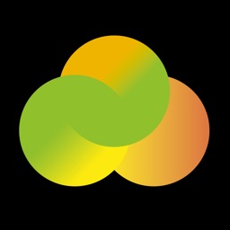 Talent Leadership in Action