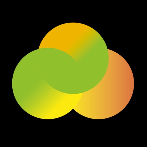 Talent Leadership in Action