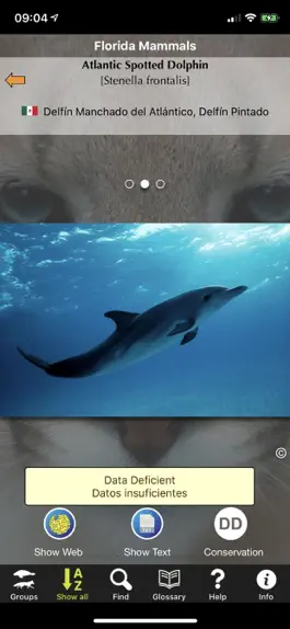 Game screenshot Florida Mammals mod apk
