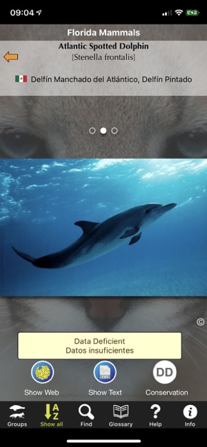 Florida Mammals(圖1)-速報App