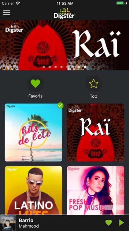 Digster Music Maroc screenshot-6