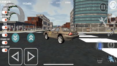 Police Cars Driving Simulator Screenshot