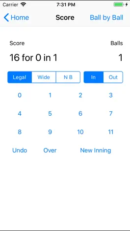 Game screenshot CricketCounter apk