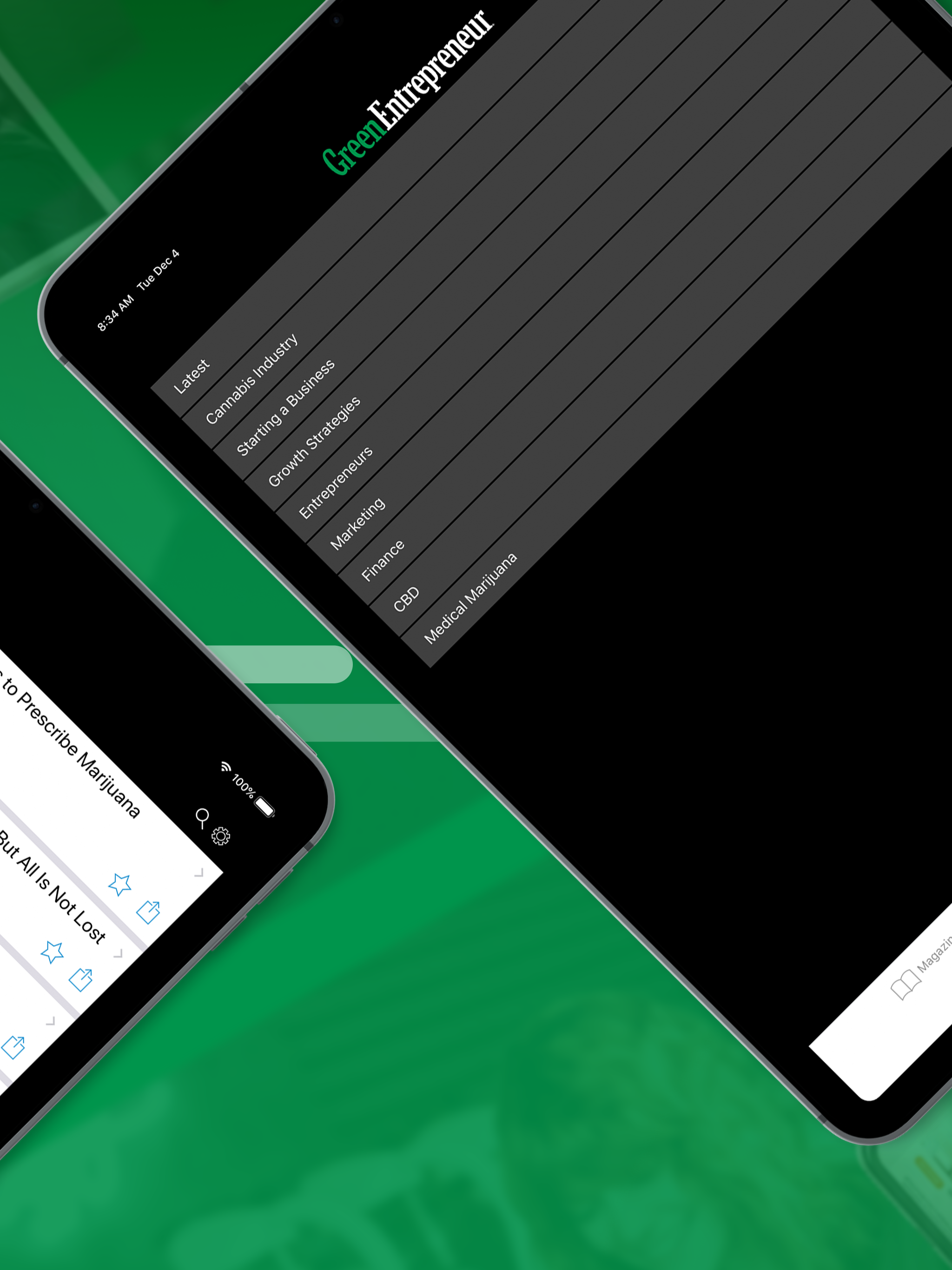 Green Entrepreneur screenshot 6