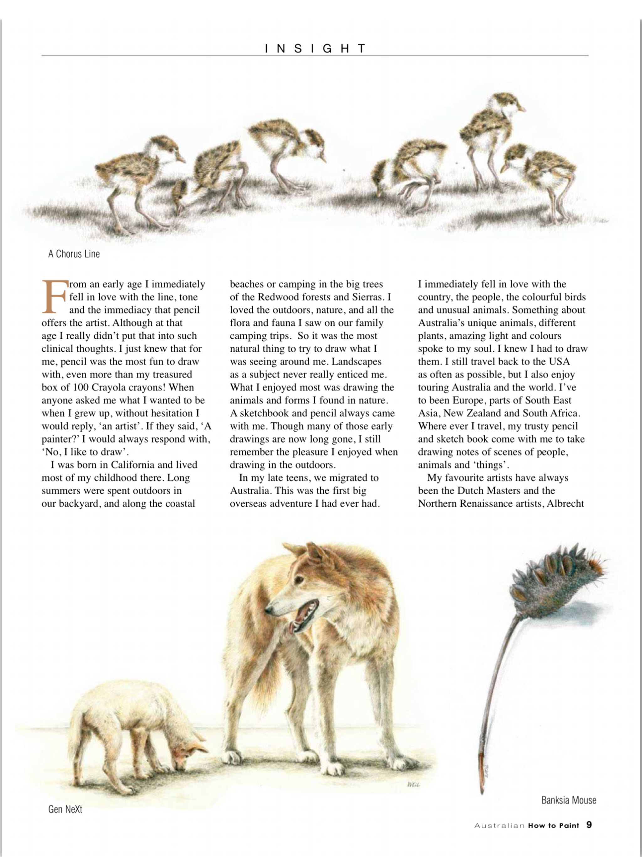 The Australian How to Paint