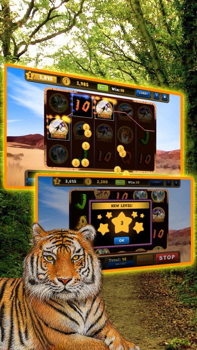 Wild Tiger Slots Machine Games Screenshot