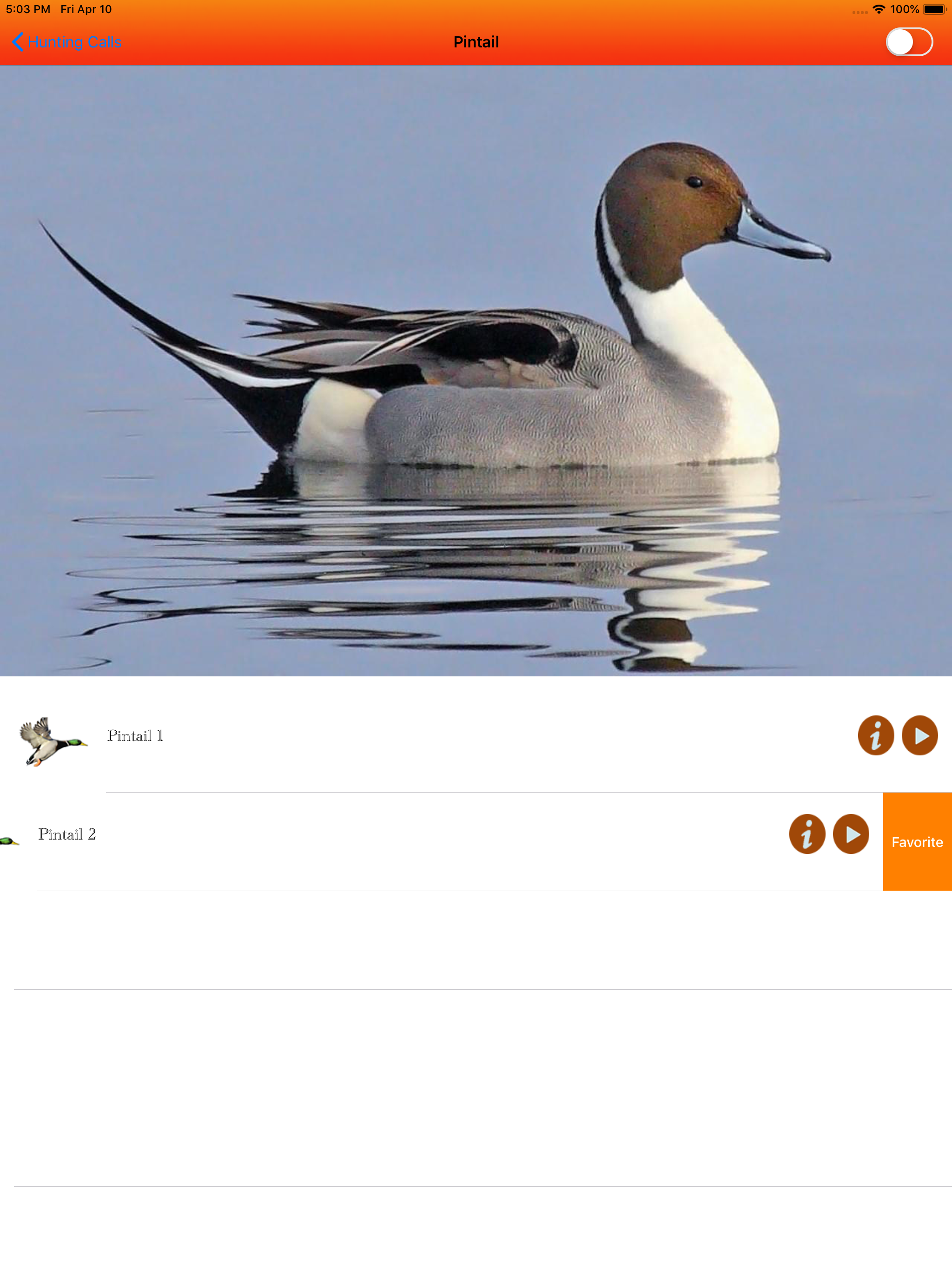 Duck Hunting Calls -