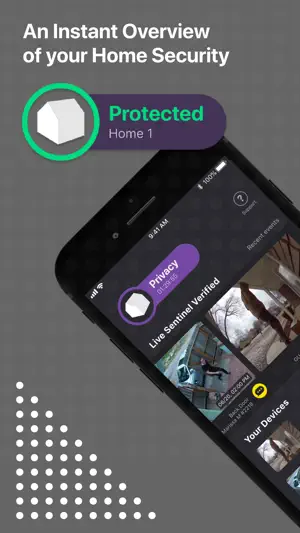 Deep Sentinel Home Security screenshot 2