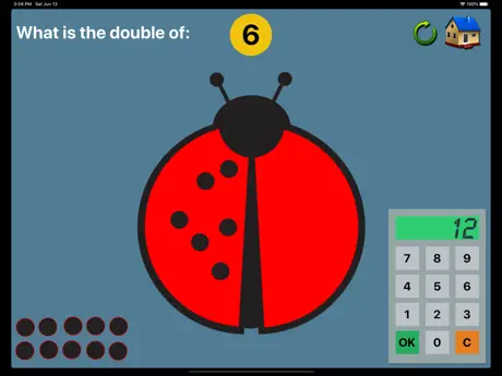 Ladybird Maths