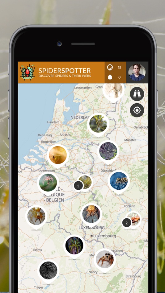 SpiderSpotter | SPOTTERON - 3.5.0 - (iOS)