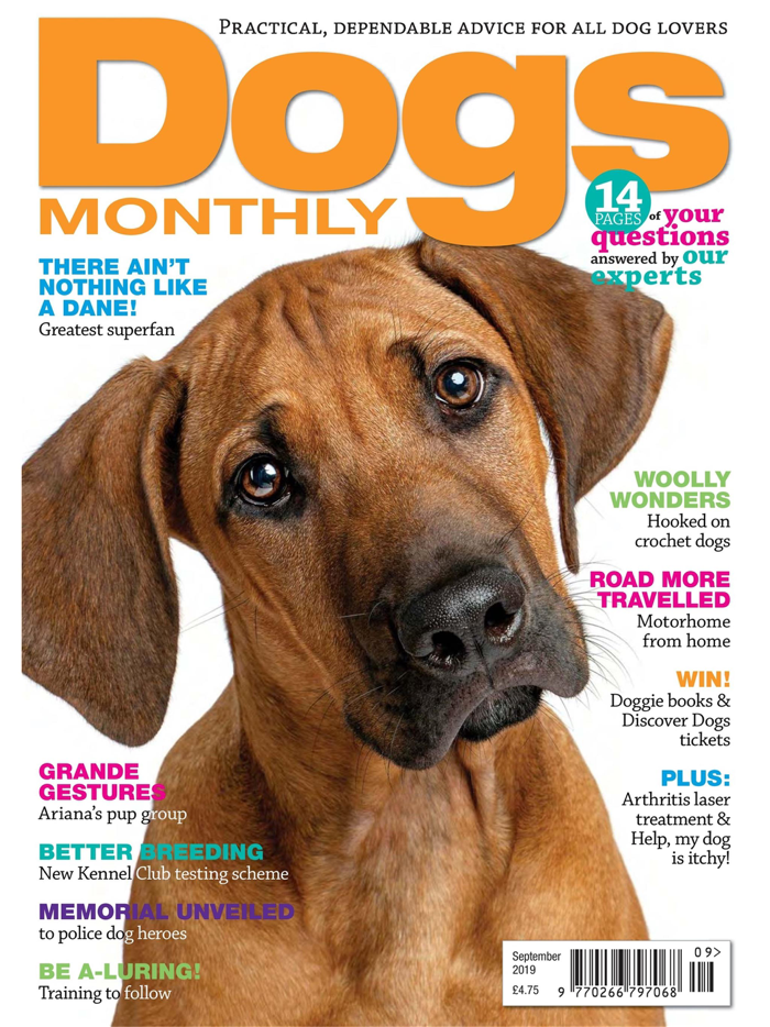 Dogs Monthly Magazine