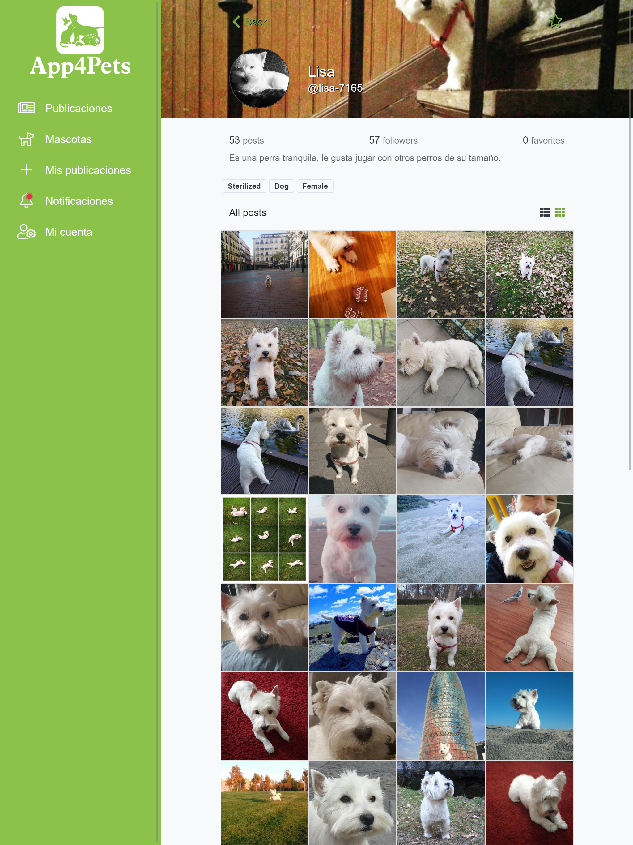 App4Pets - Pets social network screenshot 6