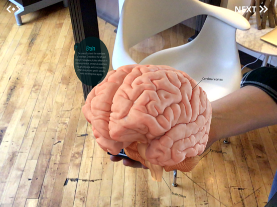 Screenshot #6 pour AnatomyAR+ for Merge Cube