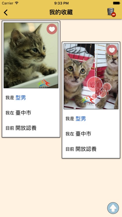 領養毛小孩 screenshot-4