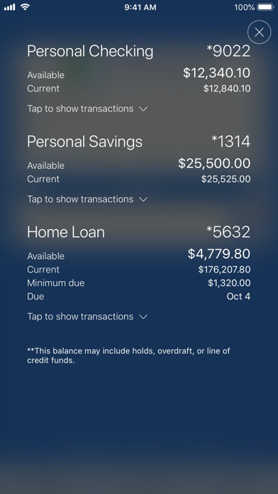 Alliance Credit Union Screenshot