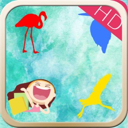 Baby Animal Color HD