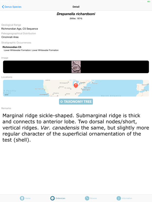 Screenshot #6 pour Digital Atlas of Ancient Life