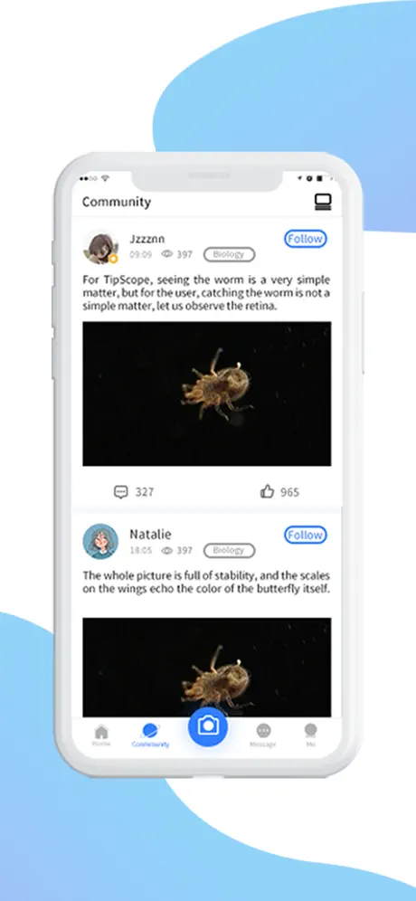FrogCount: Habit tracker