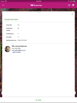 Skogsvinge screenshot 7