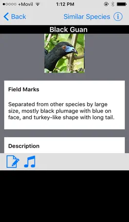 Game screenshot Costa Rica Birds Basic hack