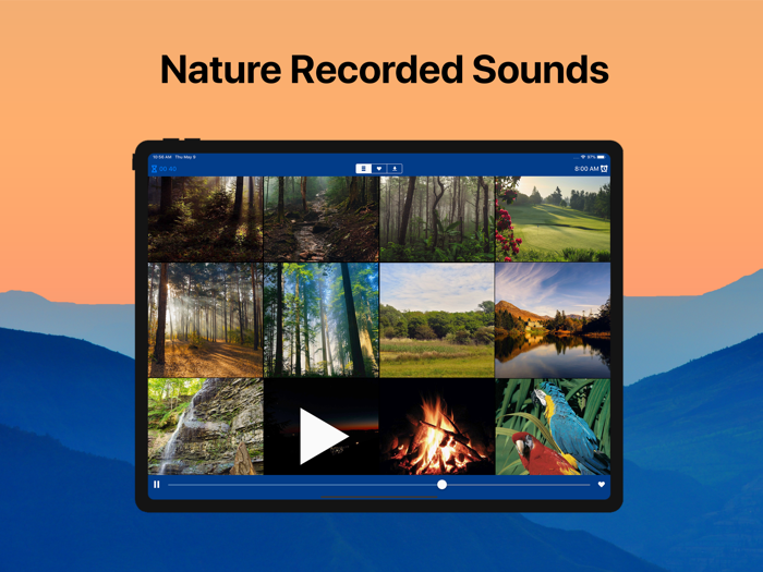 Nature