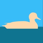 Download Gadwall Habits app