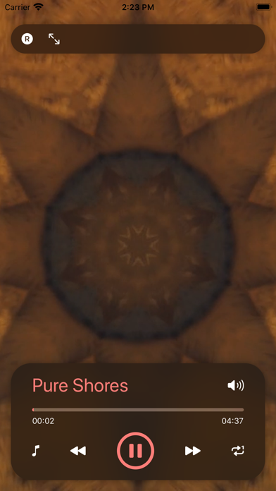 Screenshot #3 pour Bollywood Musique Carnatique