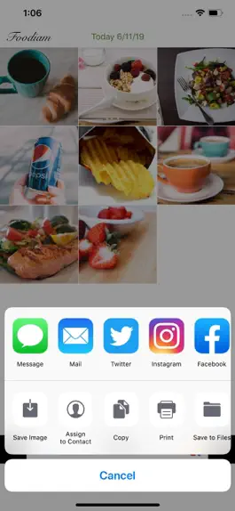 Game screenshot Foodiam apk