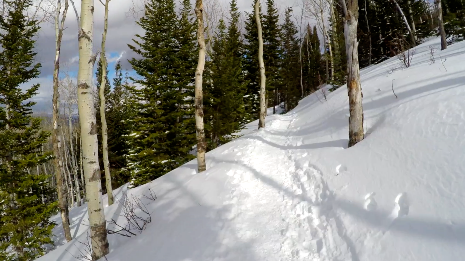 Happy Trails screenshot 9